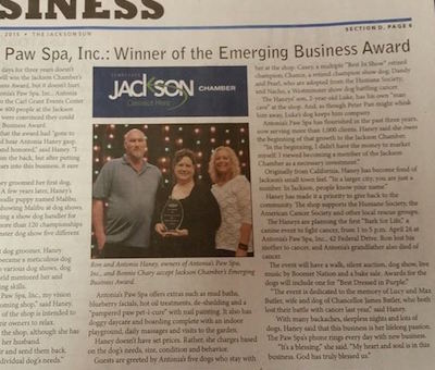 Emerging Business of the Year Award